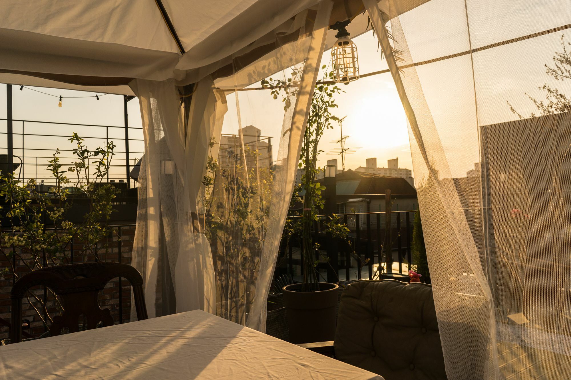 Tetto House Rooftop Garden Seoul Exterior foto